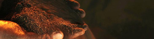 Market uncertainty pulls Canadian Mining Eye index down in Q3 Market uncertainty pulls Canadian Mining Eye index down in Q3