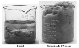 hydratationofchaypolymers