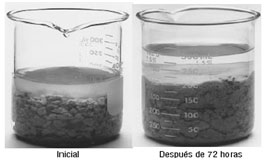 hydratationofchaywater